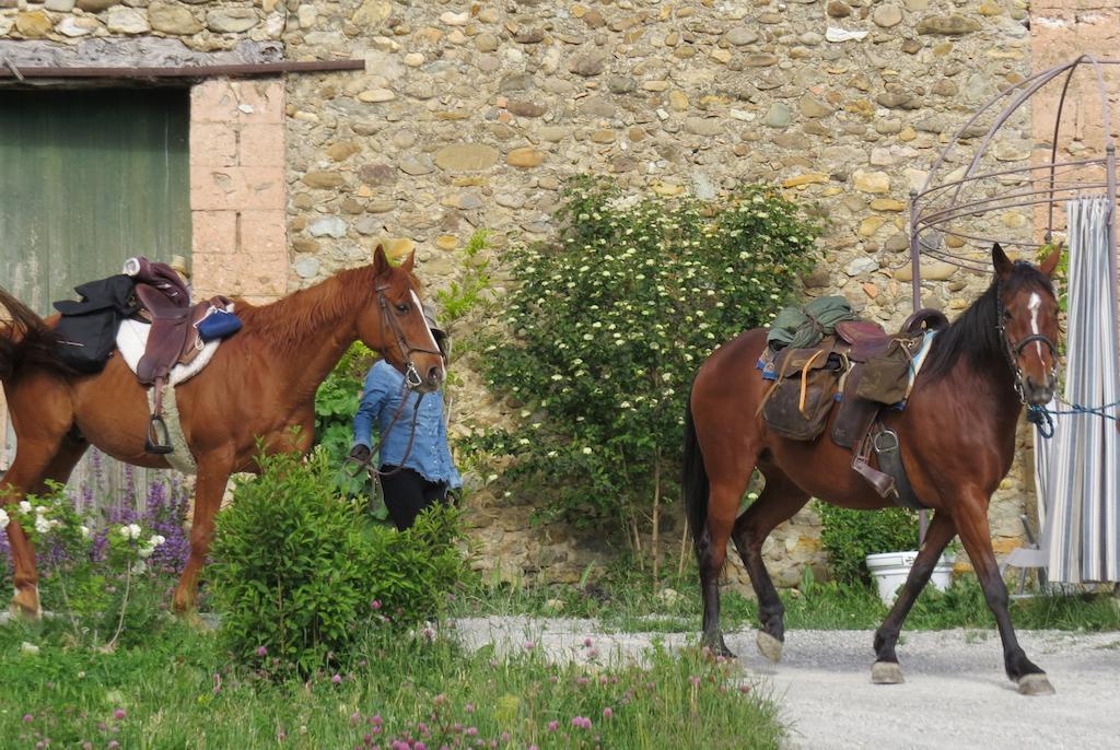 Les Gites D'Eliane Laragne Exterior foto